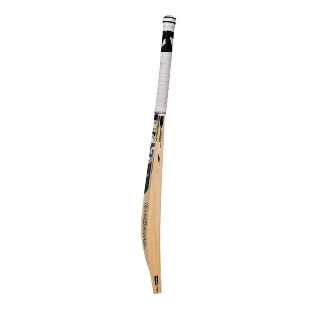 SG R17 Players Edition Cricket Bat - 2022
