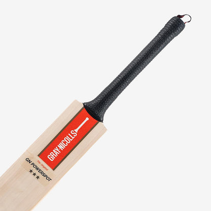 Gray-Nicolls cricket bat on a white background