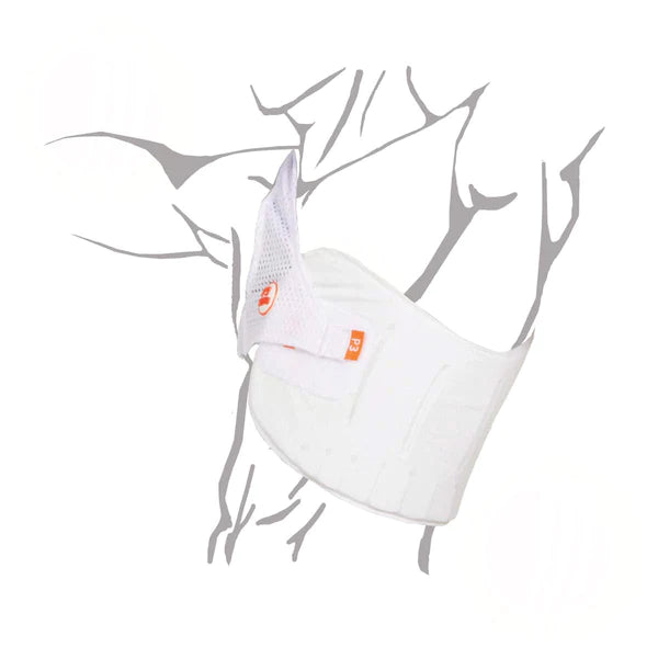 Aero P3 Chest Protector