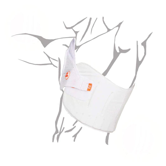 Aero P3 Chest Protector