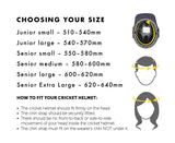 Masuri T-Line Titanium Senior Cricket Helmet