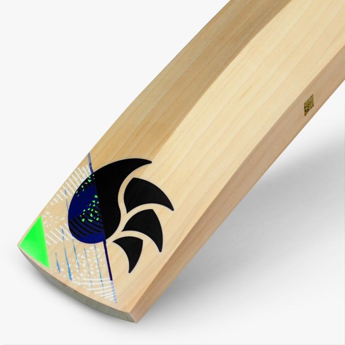 DSC Spliit 6000 Cricket Bat Juniors (2024)