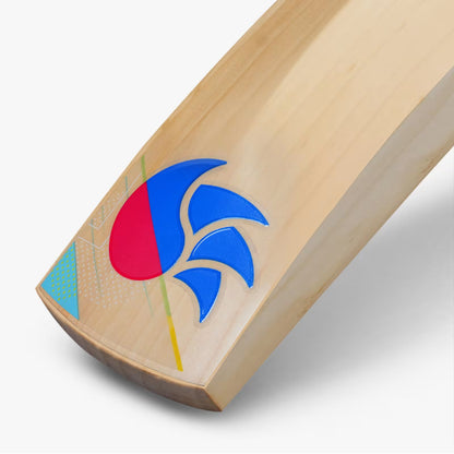 DSC Intense 4000 Cricket Bat - 2023