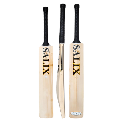 Salix AJK Select Cricket Bat