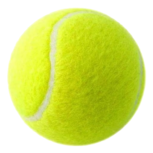 Pack Of 6 Tennis balls